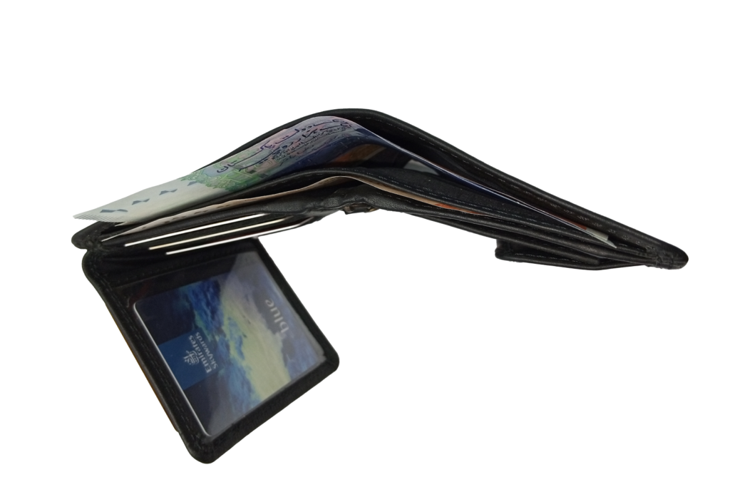 Swiss Mini Wallet-RFID Protected