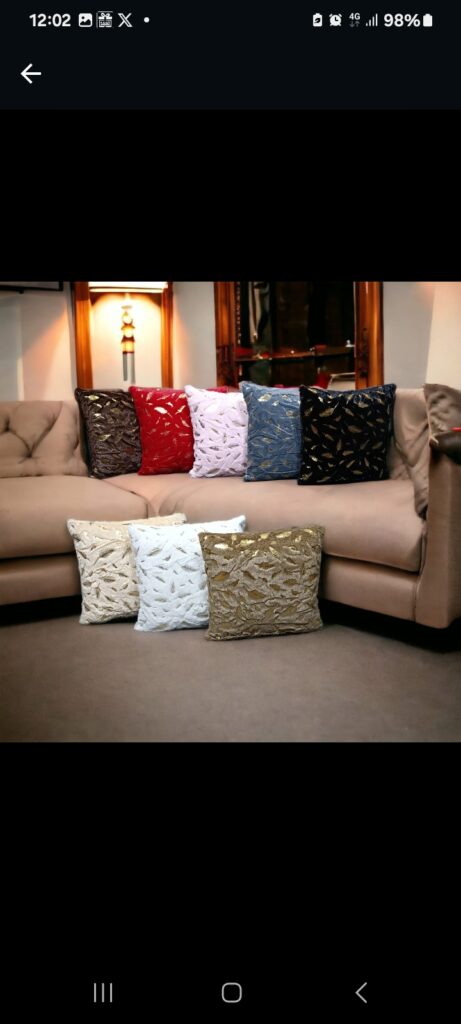 Sofa cusion