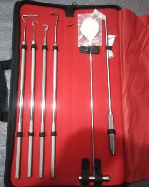 Veterinary Scaler Probe Set
