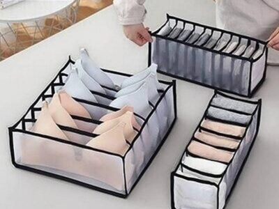 3PCS Set Undergarments Organizer.