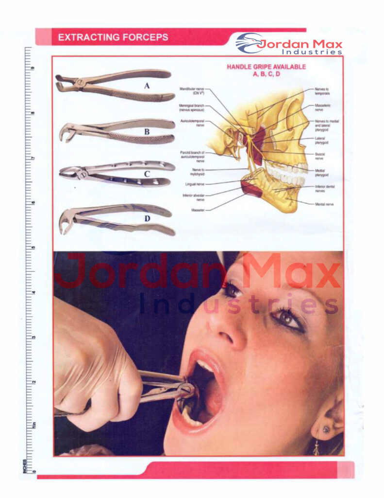 EXTRACTING FORCEPS