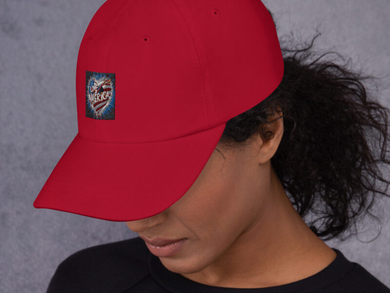 Dad hat (price in $)