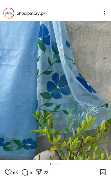 Handpainted organza duppata